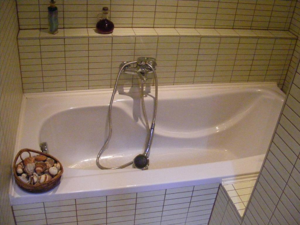 Apartment Palatinus *